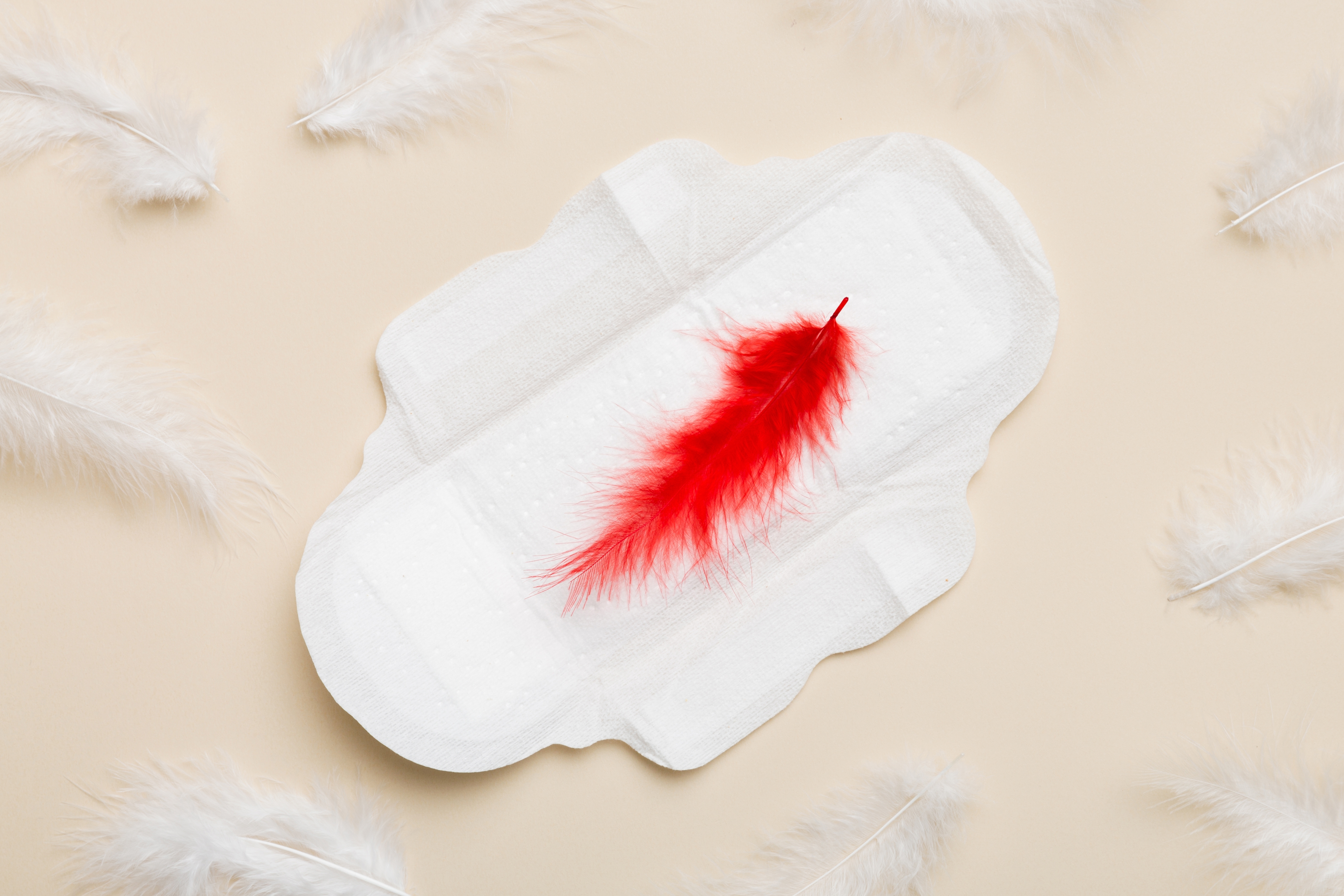 Women,Hygiene,Products,Or,Sanitary,Pad,With,Red,Feather,On